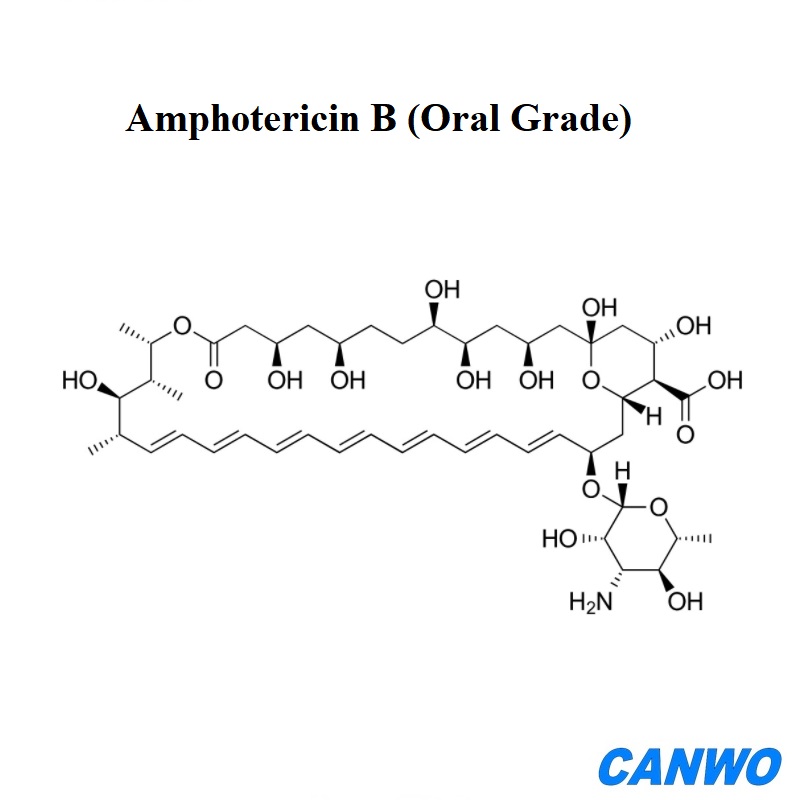 Amphotericin B (Oral Grade)