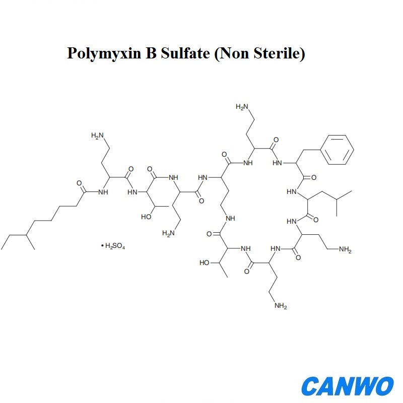 Polymyxin B Sulfate (Non-Sterile)