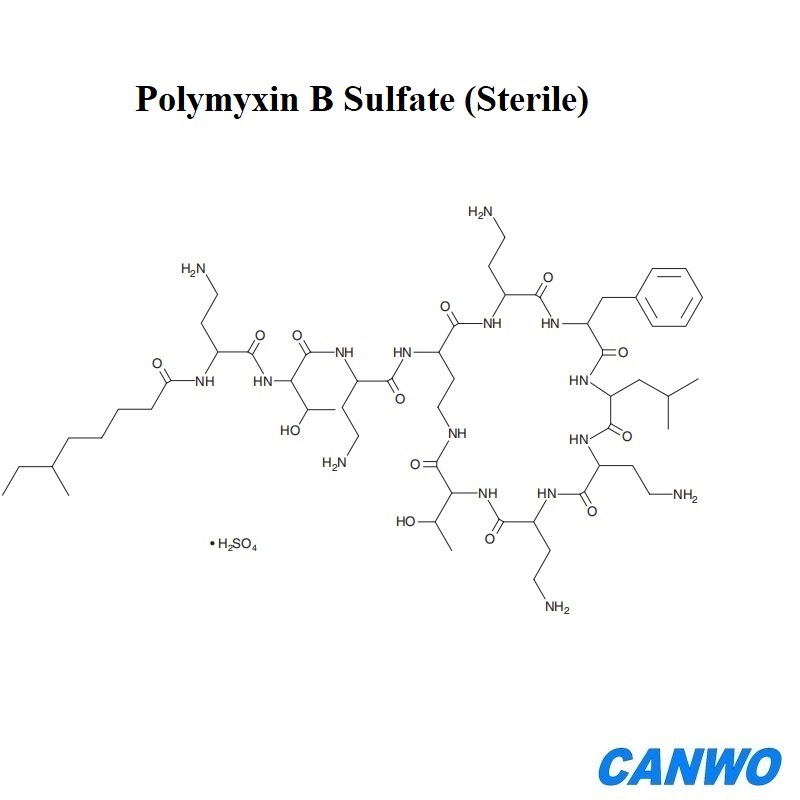 Polymyxin B Sulfate (Sterile)