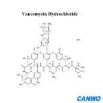 Vancomycin Hydrochloride